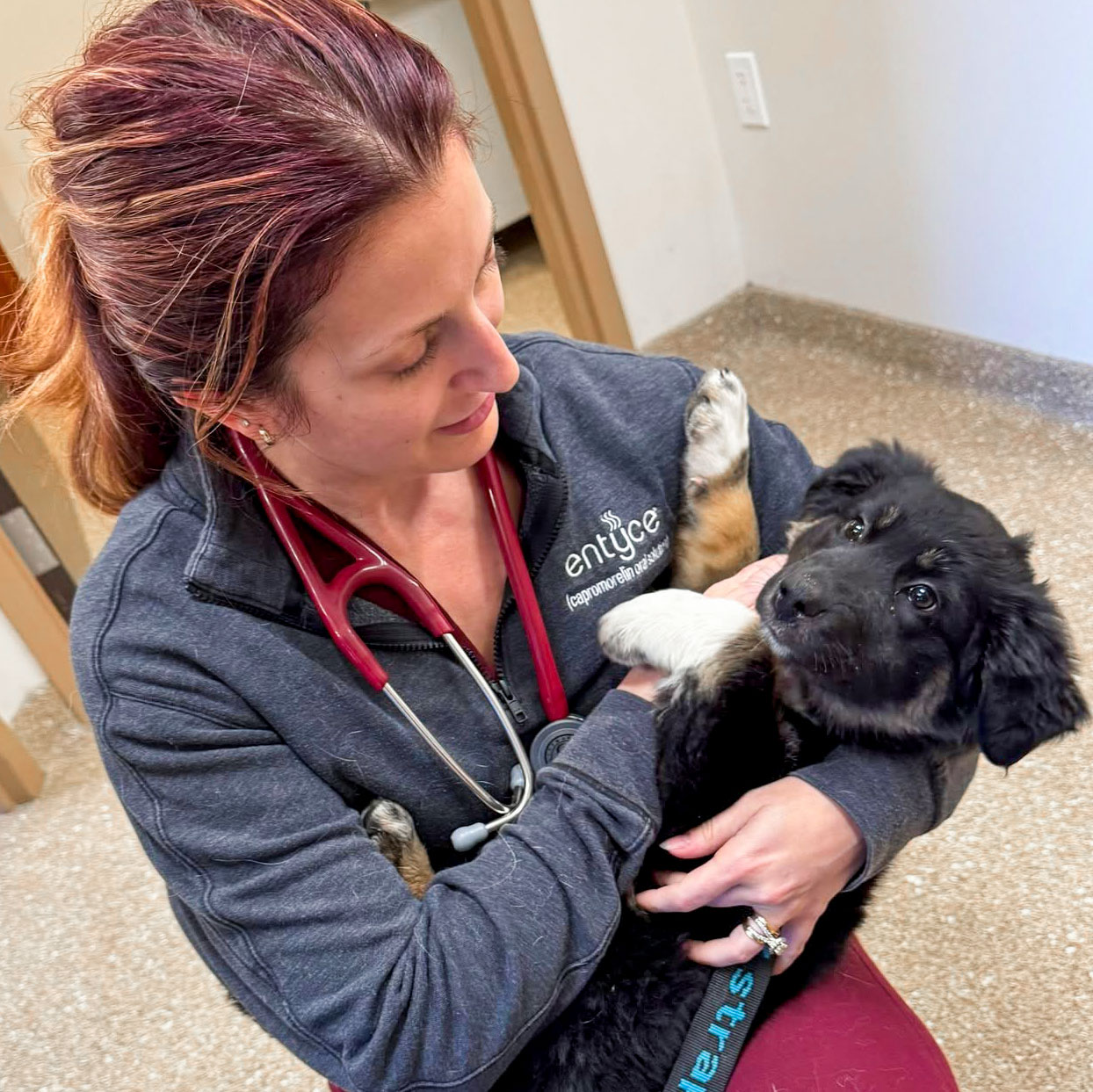 Dr. Kelly Knapp